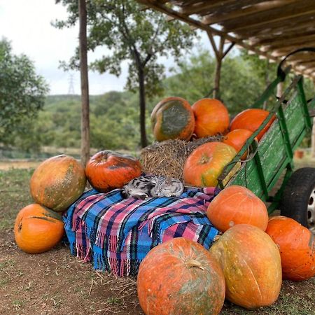 Agora Farmhouse Koman Zewnętrze zdjęcie