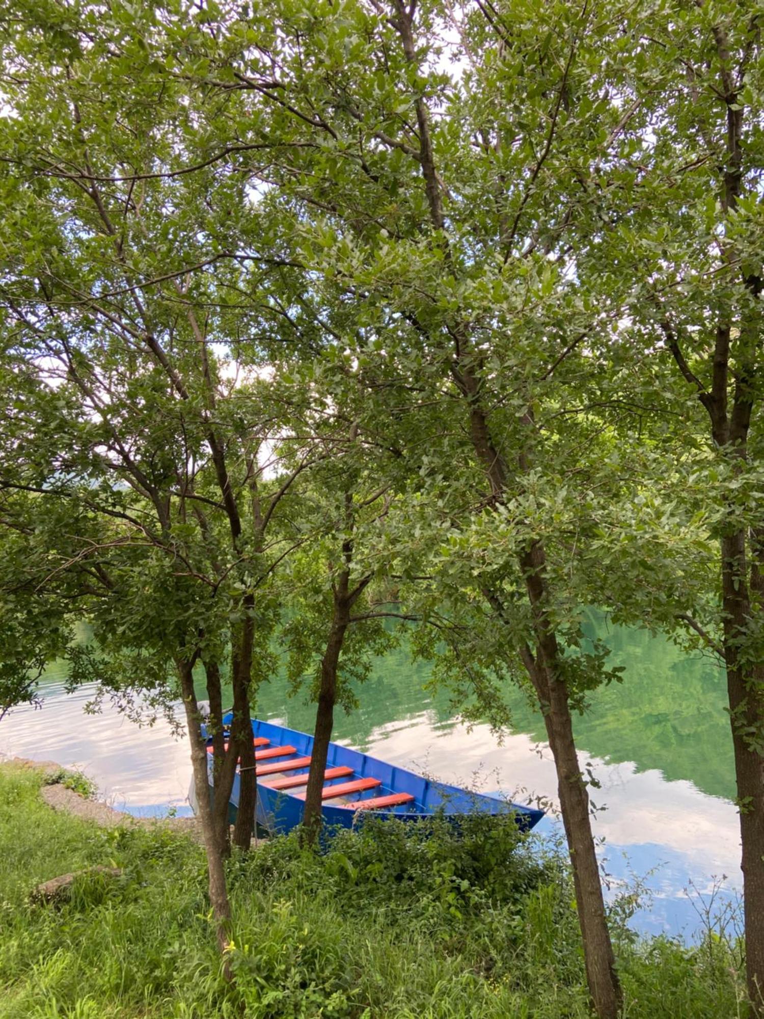 Agora Farmhouse Koman Zewnętrze zdjęcie