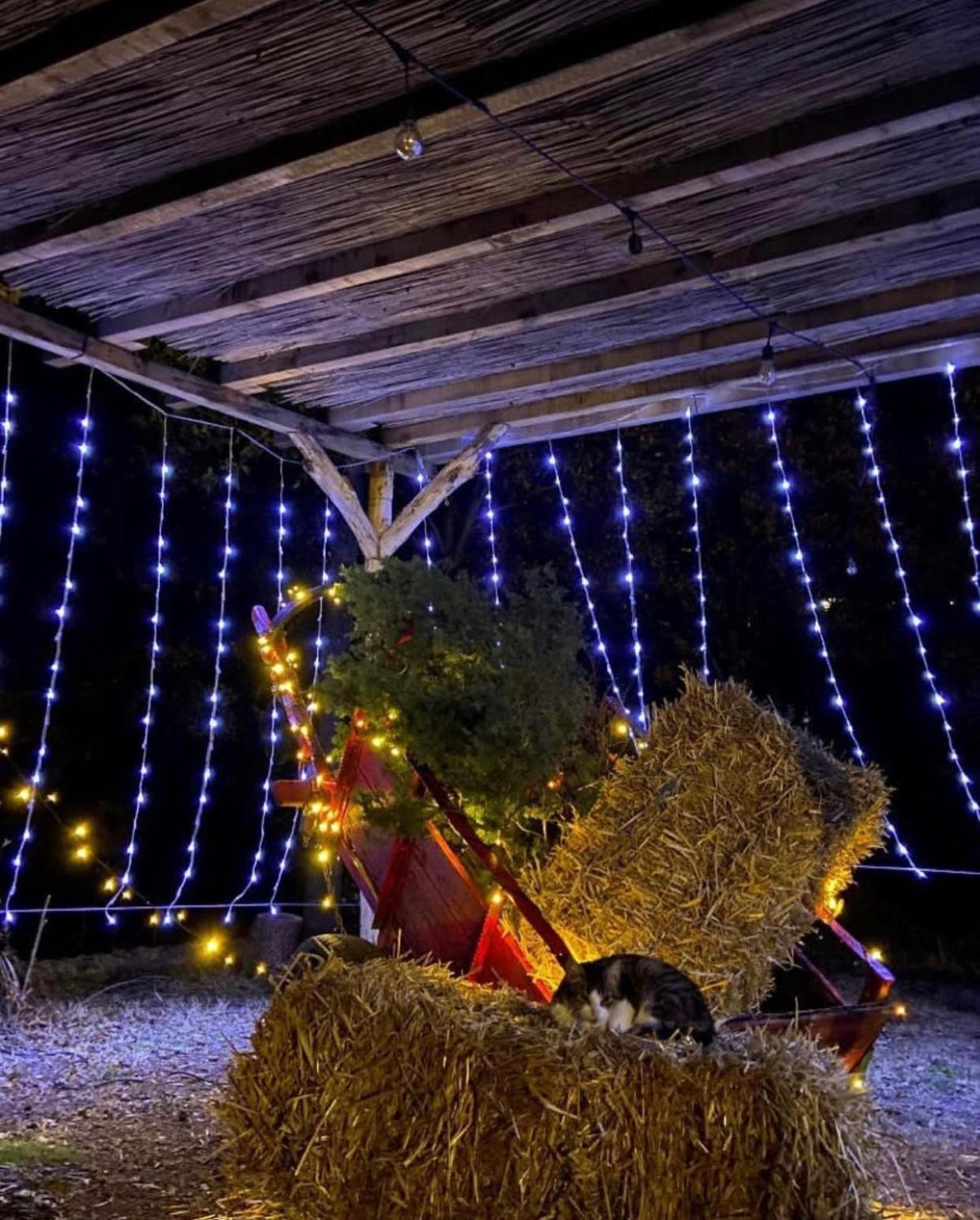 Agora Farmhouse Koman Zewnętrze zdjęcie